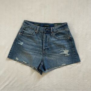 Distressed Shorts